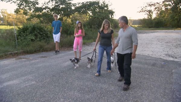 O Encantador de Cães - Cães Jersey Shore