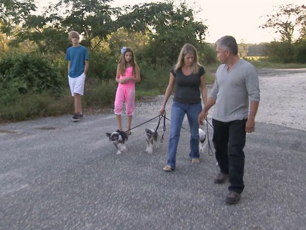 O Encantador de Cães - Cães Jersey Shore