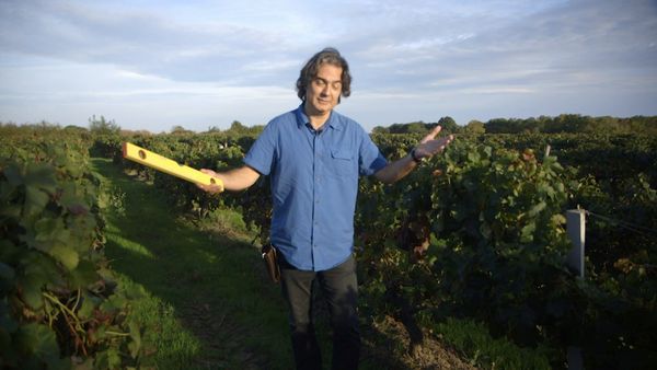 Wineman - Burdeos margen izquierdo