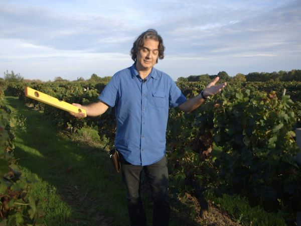Wineman - Burdeos margen izquierdo