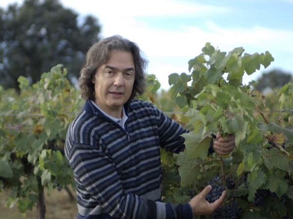 Wineman - Castilla-La Mancha