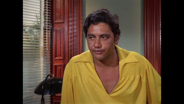 Hawaii Five-0 - Blind Tiger