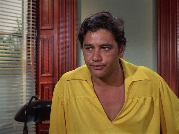 Hawaii Five-0 - Blind Tiger