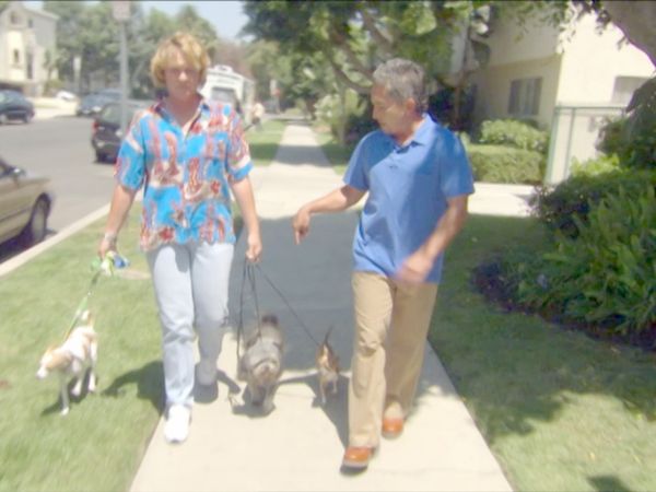 O Encantador de Cães - Bikini, Fella, Winston e Oliver