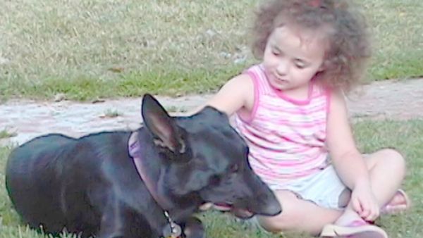 O Encantador de Cães - Os casos mais difíceis de Cesar