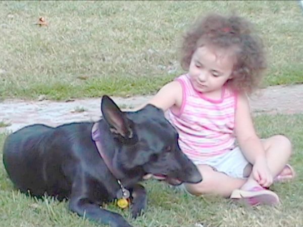 O Encantador de Cães - Os casos mais difíceis de Cesar