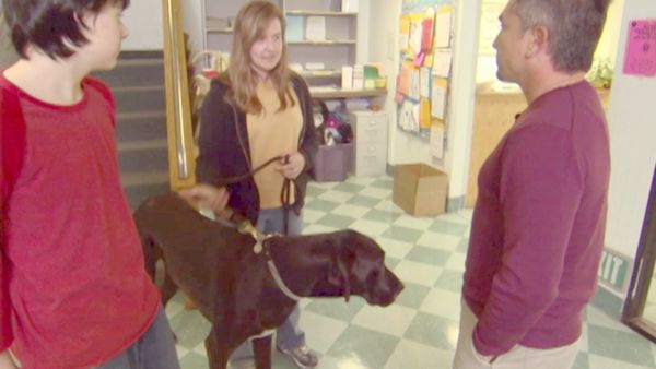 O Encantador de Cães - Major Jones, Josie e Scrappy