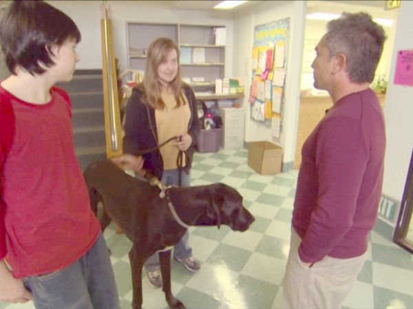 O Encantador de Cães - Major Jones, Josie e Scrappy