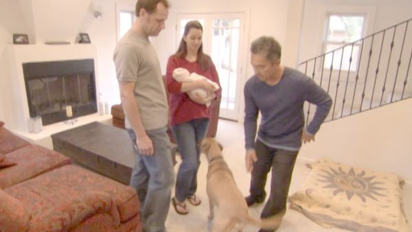 O Encantador de Cães - Pasha, Cosmo e Contessa
