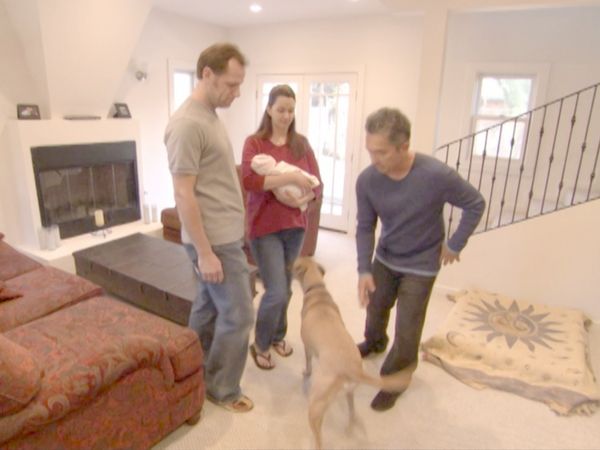 O Encantador de Cães - Pasha, Cosmo e Contessa