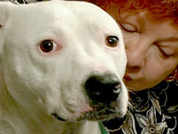 O Encantador de Cães - Caper & Julius