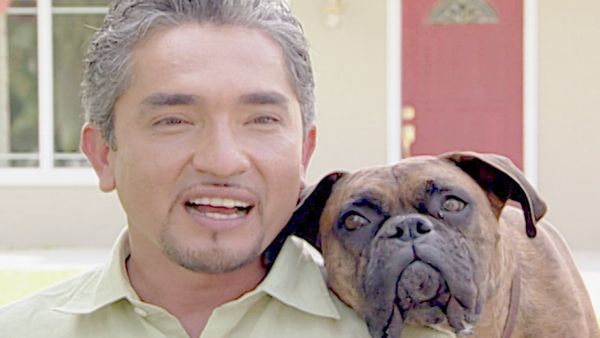O Encantador de Cães - Coach & Sueki