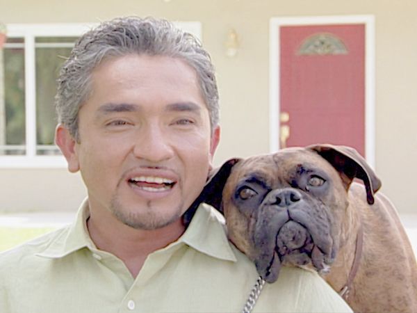 O Encantador de Cães - Coach & Sueki