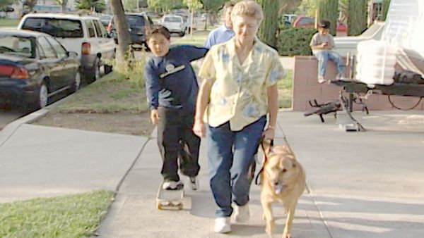 O Encantador de Cães - Harry & Brooks