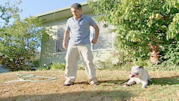 O Encantador de Cães - Bella & Jordan