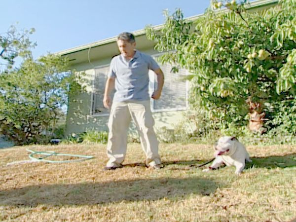 O Encantador de Cães - Bella & Jordan