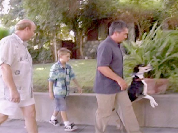 O Encantador de Cães - Stewart e Buddy