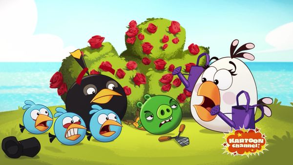 Angry Birds - Piggies From The Deep / Oh Gnome! / Shrub It In / The Truce / Operation Opera / Piggy Love / Cake Duel / Dr.Pork, M.D.