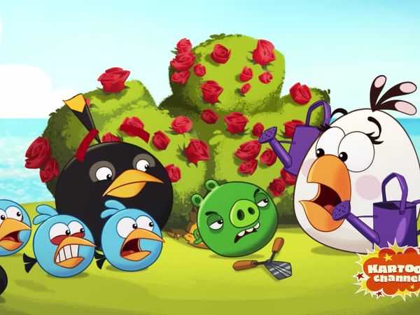 Angry Birds - Piggies From The Deep / Oh Gnome! / Shrub It In / The Truce / Operation Opera / Piggy Love / Cake Duel / Dr.Pork, M.D.