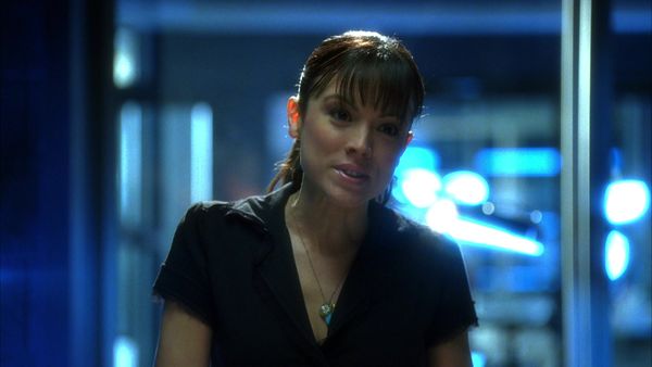 CSI - Bull