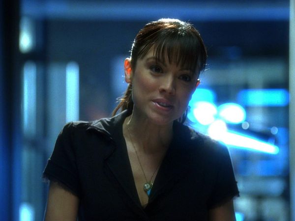 CSI - Bull