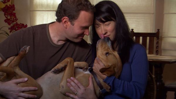 El Encantador de Perros - Buddy, Teddy, y Matilda