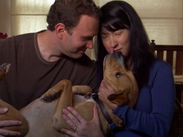 El Encantador de Perros - Buddy, Teddy, y Matilda