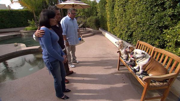El Encantador de Perros - Eton & Dolly y los cachorros en libertad condicional