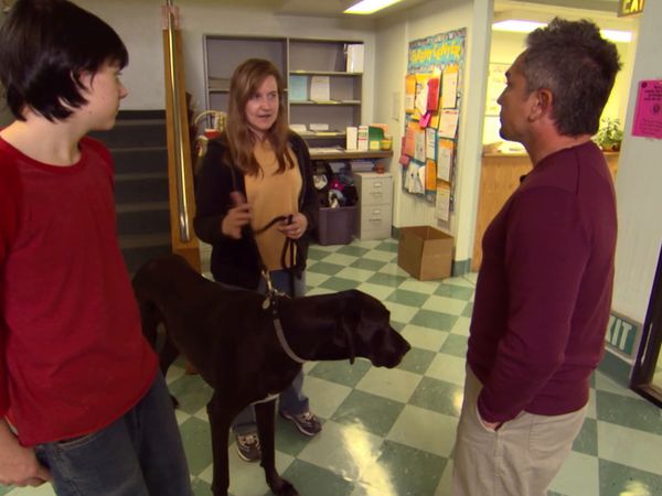 El Encantador de Perros - Major Jones, Josie & Scrappy