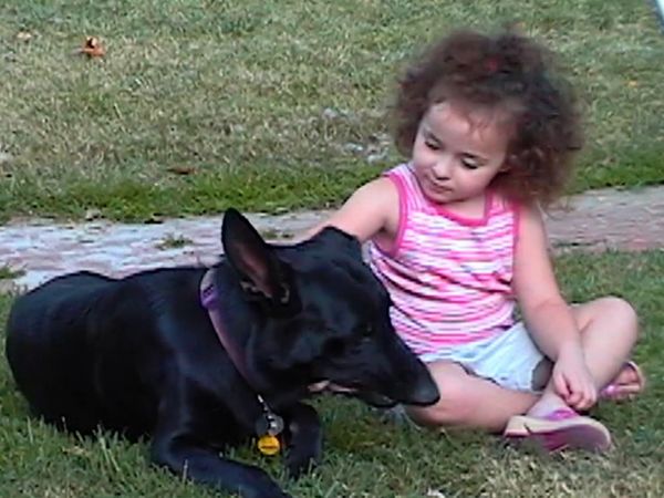 El Encantador de Perros - Los casos más difíciles de Cesar