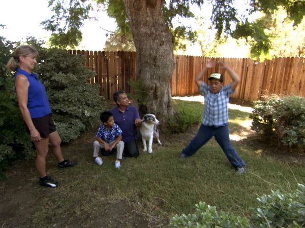 El Encantador de Perros - Brady, Bandit, y Hootie