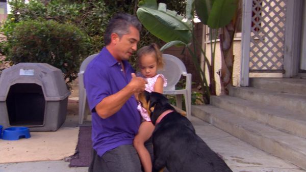 El Encantador de Perros - Buddy, Tiger & Roxy, y Booker