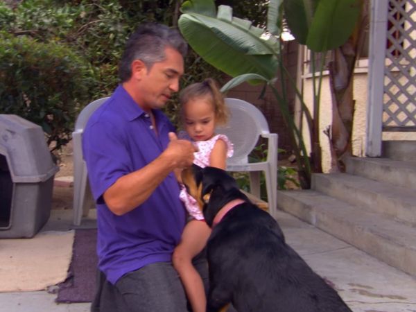 El Encantador de Perros - Buddy, Tiger & Roxy, y Booker