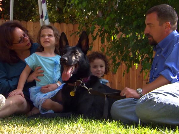 El Encantador de Perros - Spike, Jake & Nugget, y Wendel