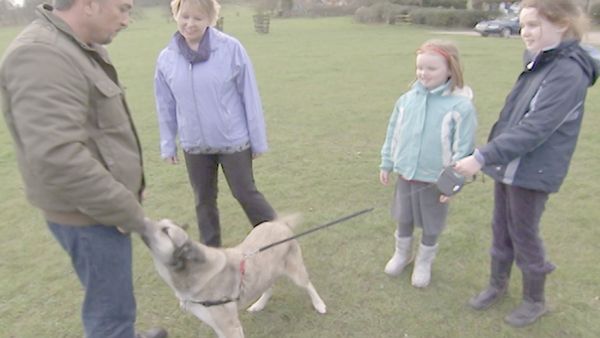 O Encantador de Cães - O encantador de cães: especial 1 do Reino Unido