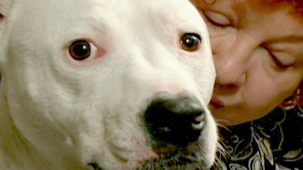 El Encantador de Perros - Caper & Julius