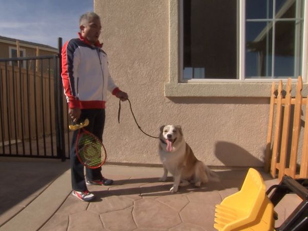 El Encantador de Perros - Snickers y Maury