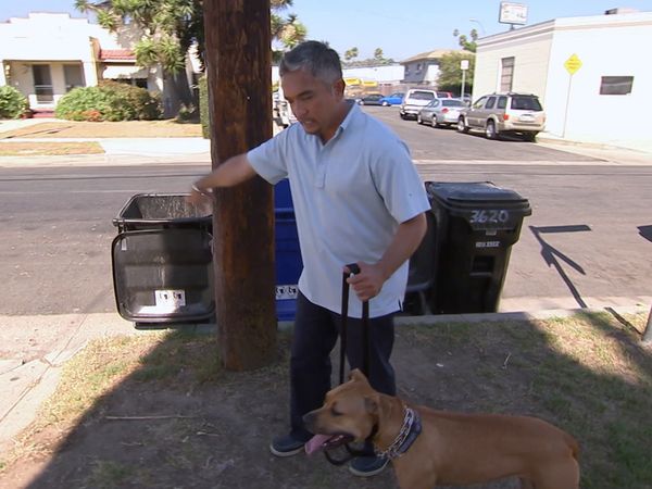 El Encantador de Perros - Blackjack y Memphis