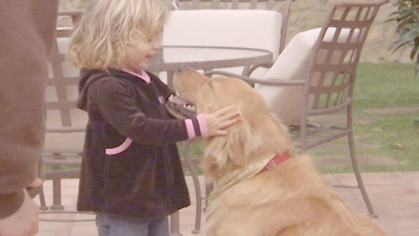 O Encantador de Cães - Dúvida de uma Sombra