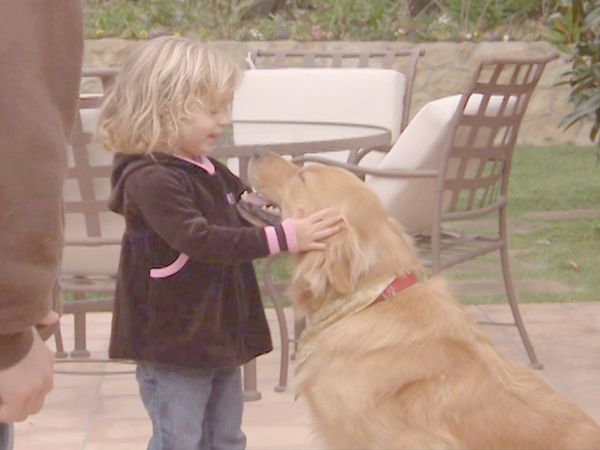 O Encantador de Cães - Dúvida de uma Sombra