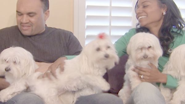 O Encantador de Cães - Woof e Wheels
