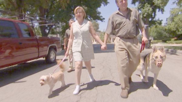 O Encantador de Cães - Pastor enjaulado, Tinkling Terrier