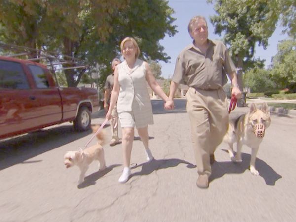 O Encantador de Cães - Pastor enjaulado, Tinkling Terrier