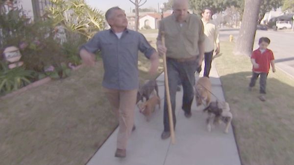 O Encantador de Cães - Medo de cães