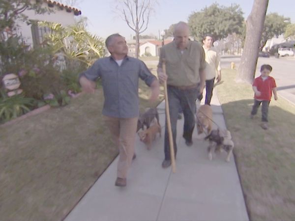 O Encantador de Cães - Medo de cães
