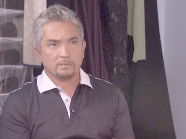 O Encantador de Cães - Cachorro Malvado, O Evangelho Segundo César, Bebê Chorado