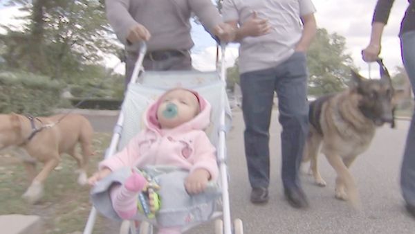O Encantador de Cães - Um membro da família
