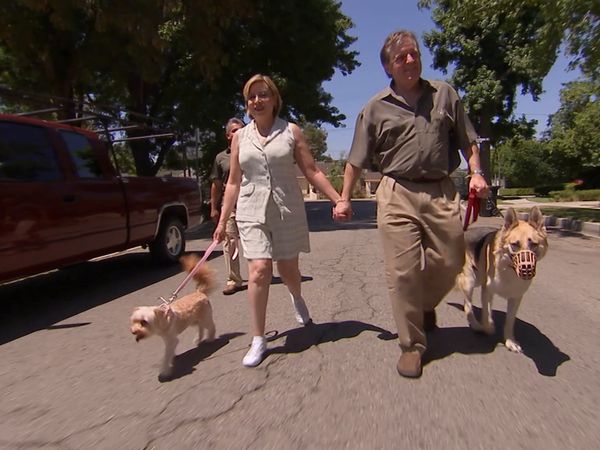 El Encantador de Perros - Pastor enjaulado, Tinkling Terrier