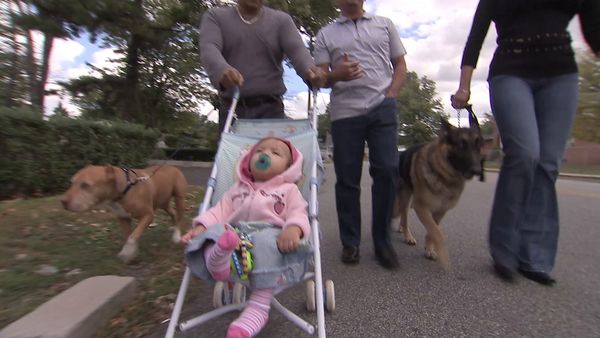 El Encantador de Perros - Un miembro de la familia