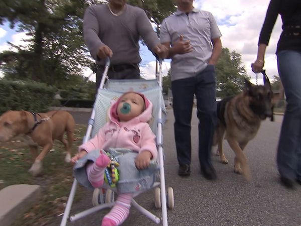 El Encantador de Perros - Un miembro de la familia